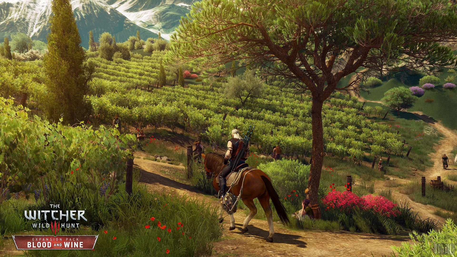 witcher wine.jpg