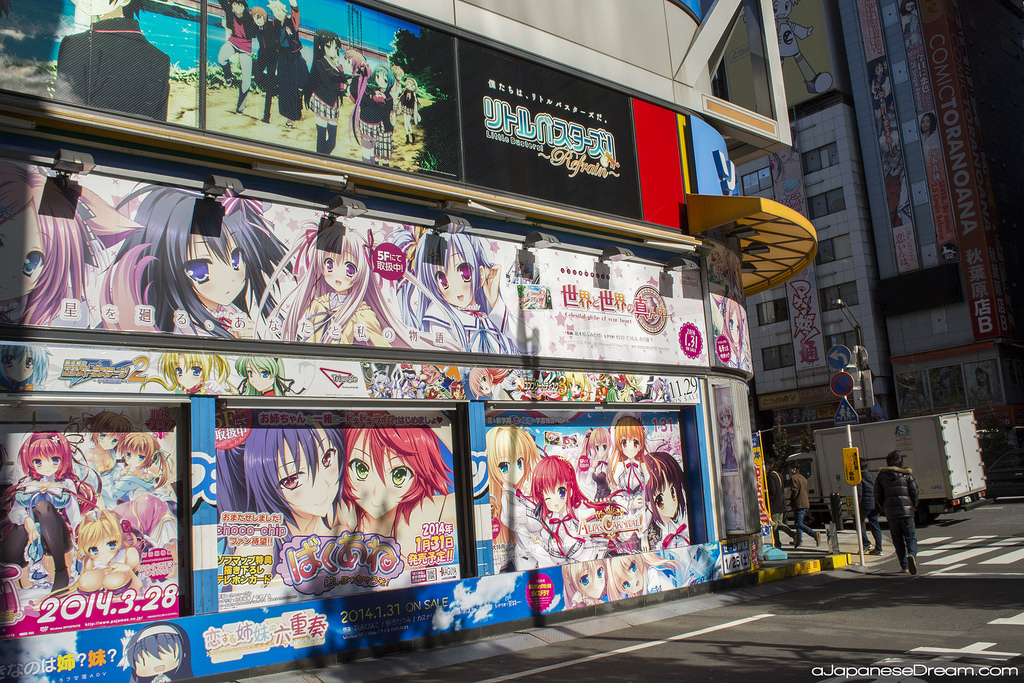 Akihabara.original.10936.jpg