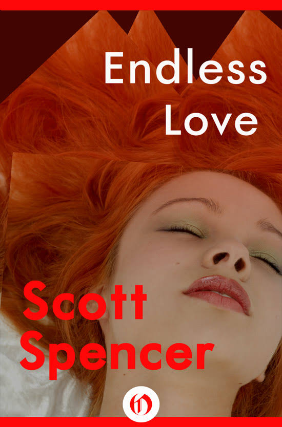 Endless Love cover.jpg